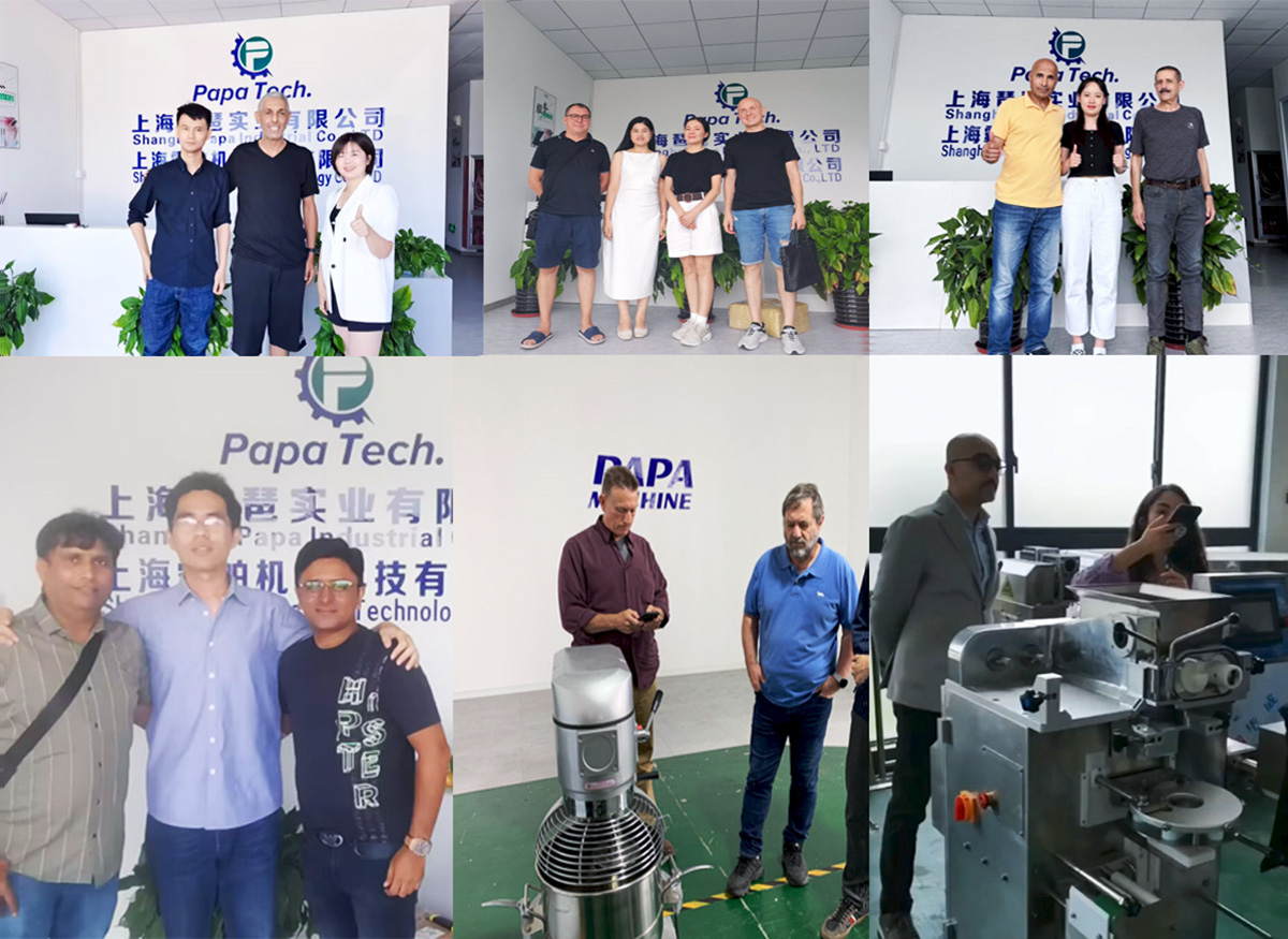 Papa industrial food production line equipment partners