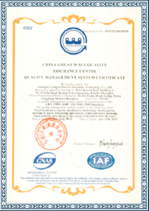 SGS&nbsp;Certificate1